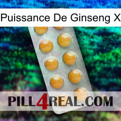 Ginseng Power X levitra1